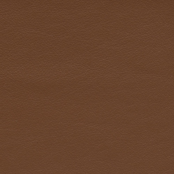 Läder: Grand cognac 33